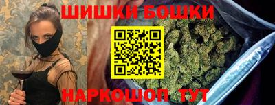 индика Апшеронск