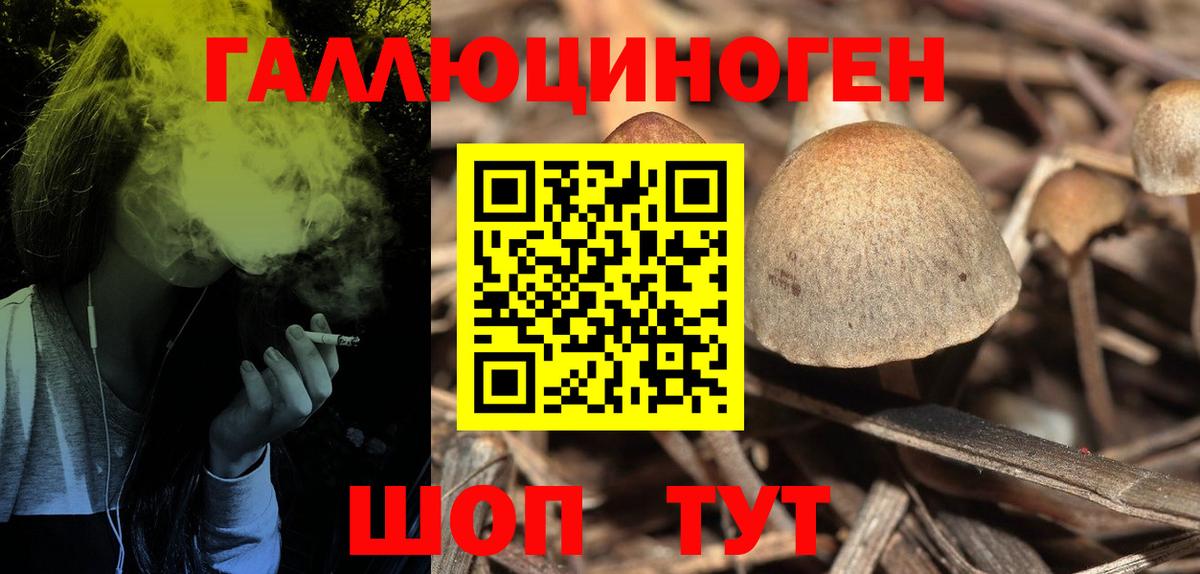 Псилоцибиновые грибы Cubensis Вольск