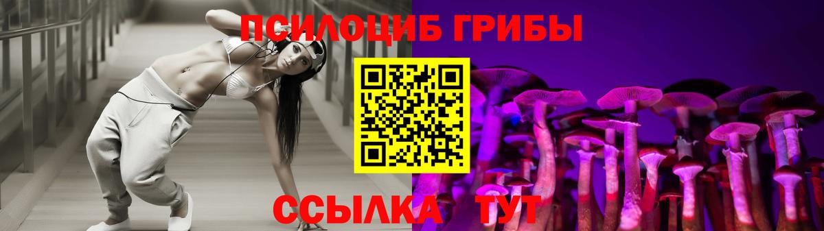 Вольск  купить   Вход с VPN  Галлюциногенные грибы прущие грибы 